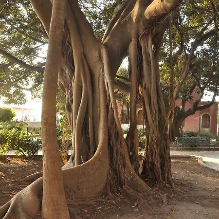 L'altro Capo Del Filo *